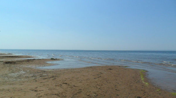 Кристи Бурова