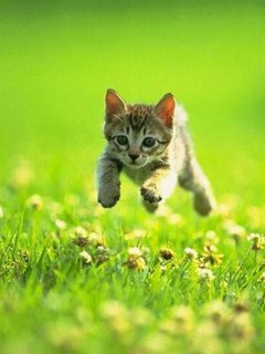 Евгений Кузнецов