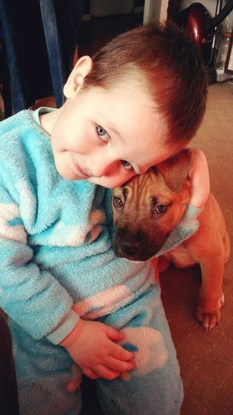 Радион Шушковский