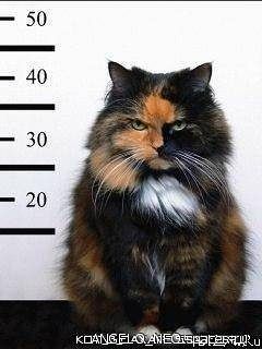 Мелоян Армен Левонович