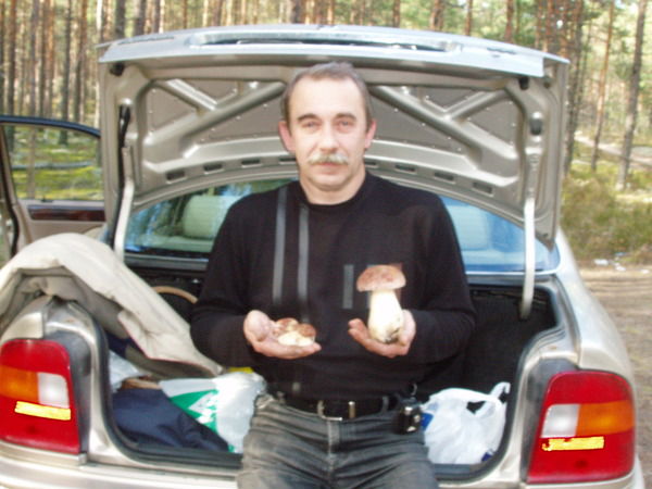 Александр Погорелов