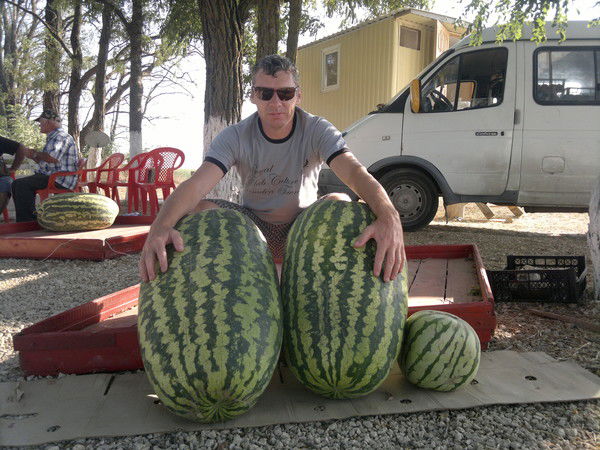 Bushmen301 Матяшов Андрей Александрович