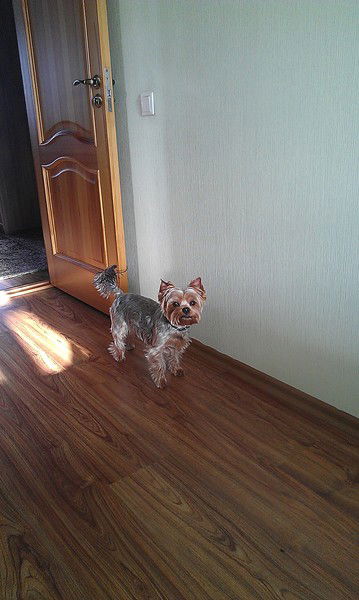 Людмила Анфёрова