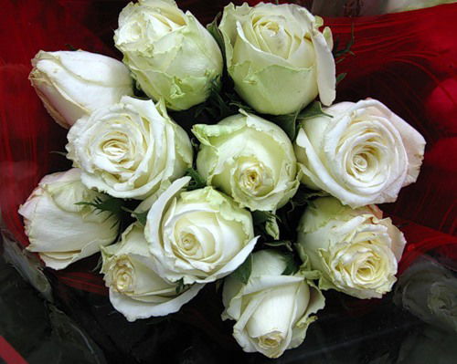 Конырша Имангалиева