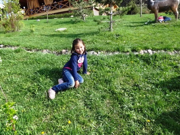 Анель Култай