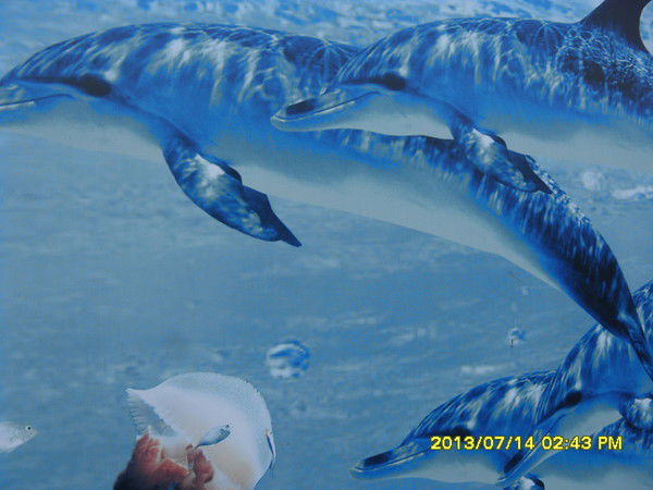 Светлана Светлана