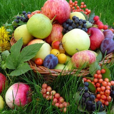 Евгений Малыгин