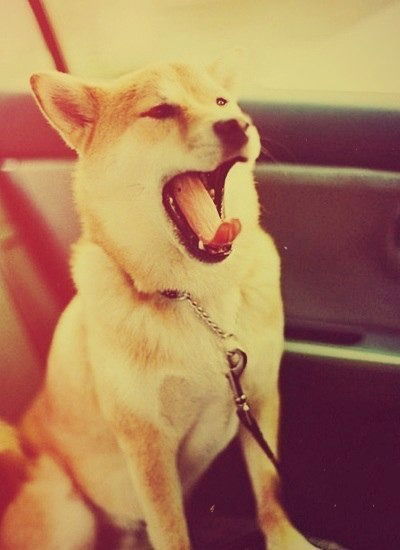 Наталья Агаркова