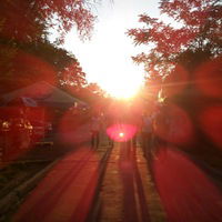 Дима Кукушкин