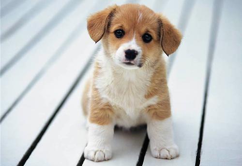 Сергей Книженцев