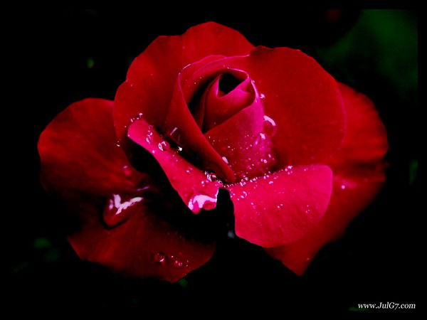 Елена Пивень