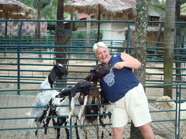 Елена Левченко