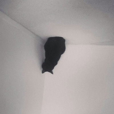 Лилия Самойлова