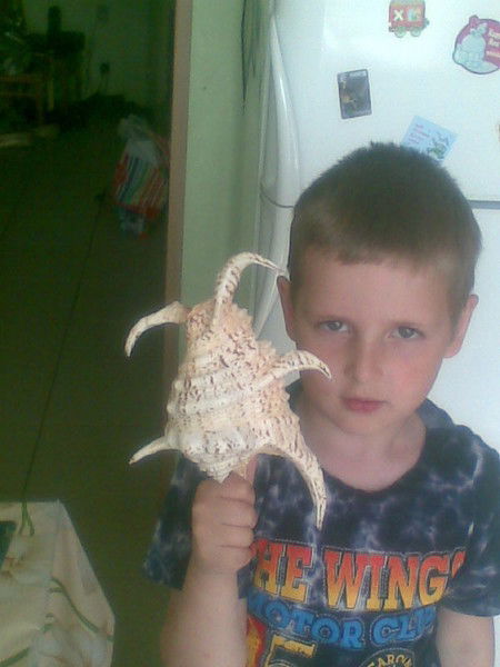 Андрей Бедь