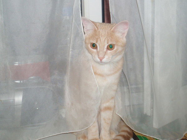 Надежда Панова