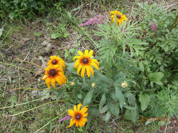 Андрей Паращук