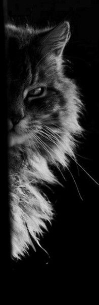 Алексей Здоров