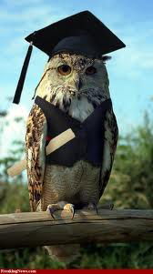 Образование Нахимовской Рга