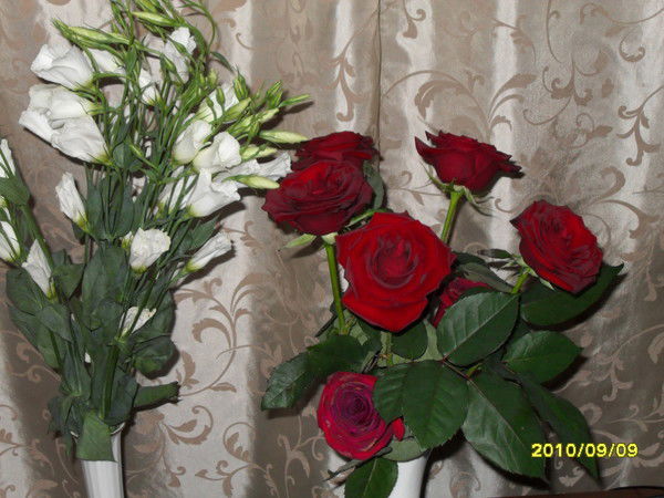 Наталья Пшанцева