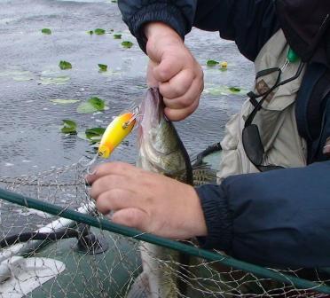 Александр Николаевич