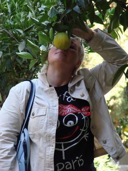 Podsolnuh Подсолнух