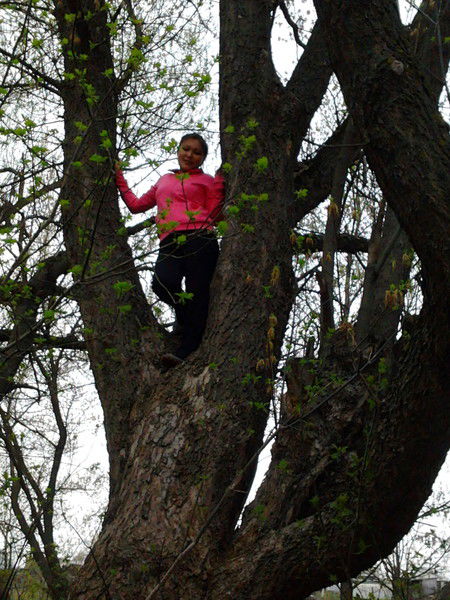 Елизавета Михеенко