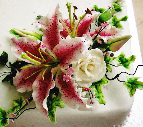 Ирина Климанова