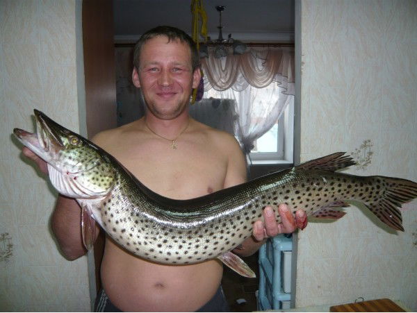 Дмитрий Туник