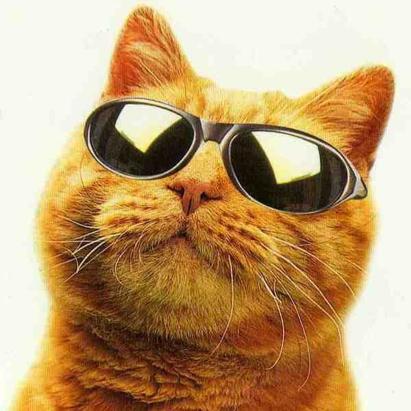 Геннадий Москалев