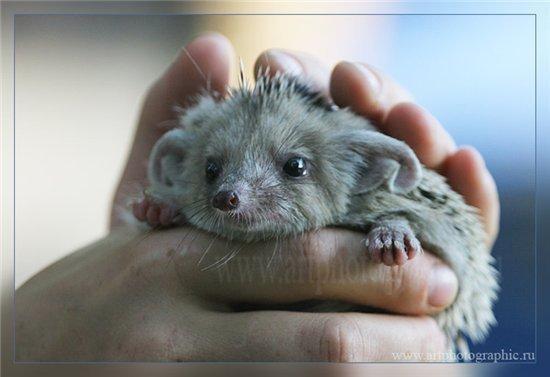 Наталья Попова