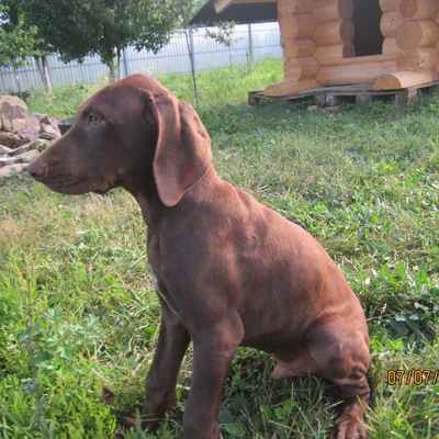 Эдвин Никитин