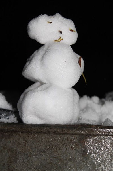 Швондер Швондер