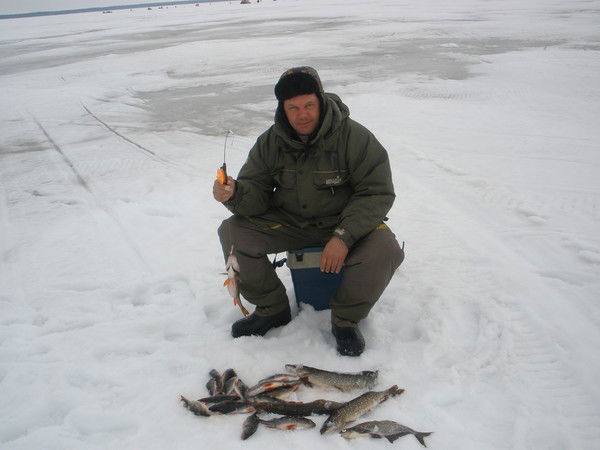 Виталий Воронков