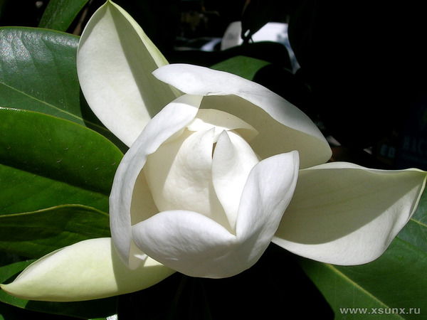 Галина Рыбальченко