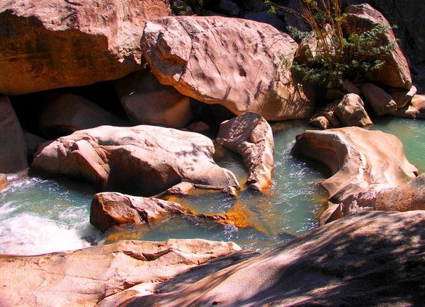 Неизвестно Неизвестно