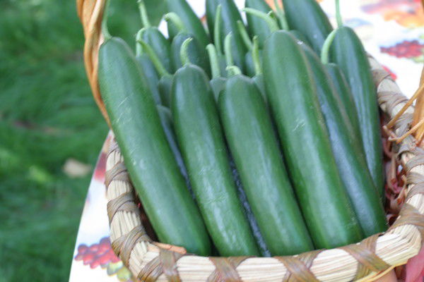 Сергей Деревянченко