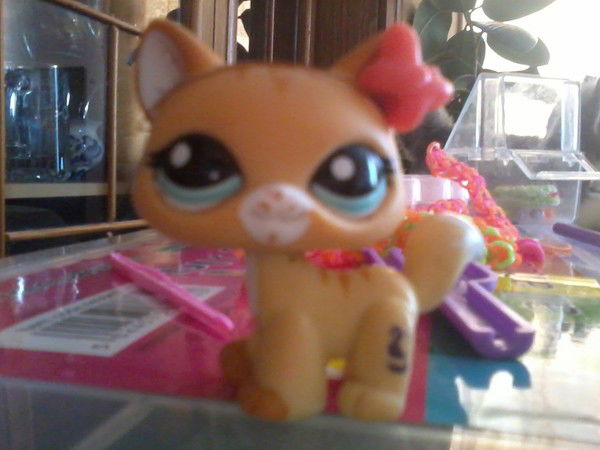 Аня Горнова