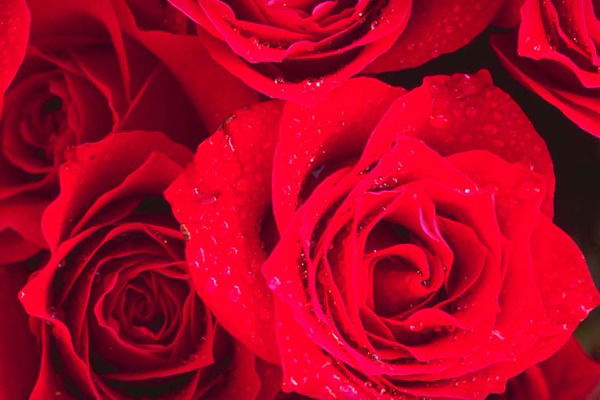 Раушан Чожикова