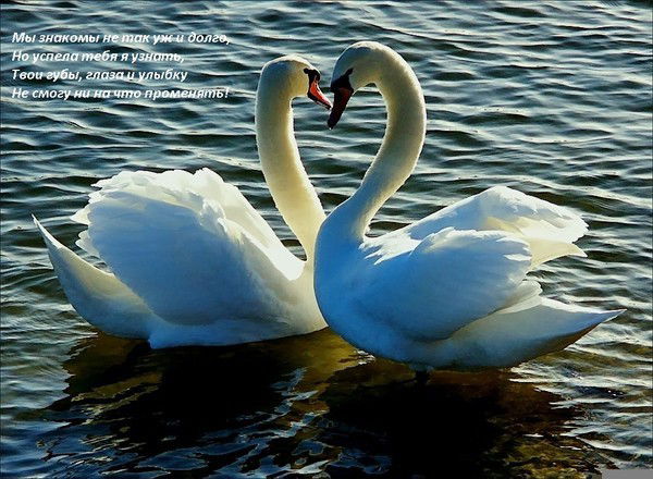 Жайнагуль Умбетова (Тлеулина)