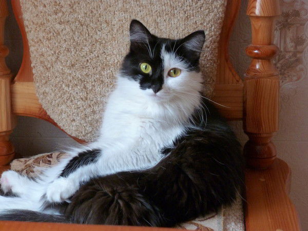 Вячеслав Матвеев