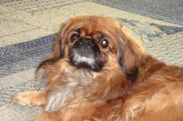 Марс Сибирский