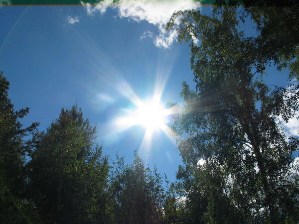 Татьяна Никонорова