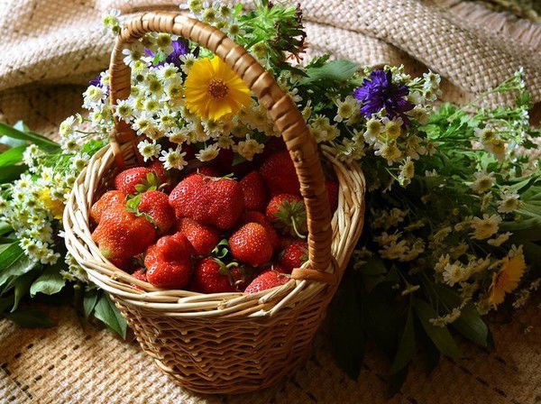 Светлана Иванова