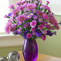 Настя Пашко