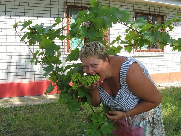 Предеина Татьяна