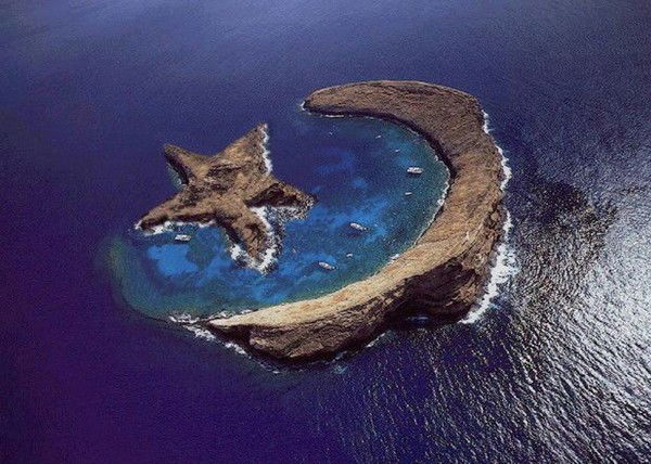 Елена Стефанова