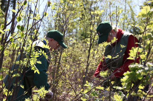 Юлия Царенко