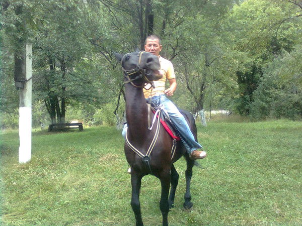 Султан Елемесов