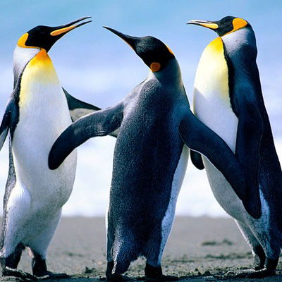 Кирилл Ильченко