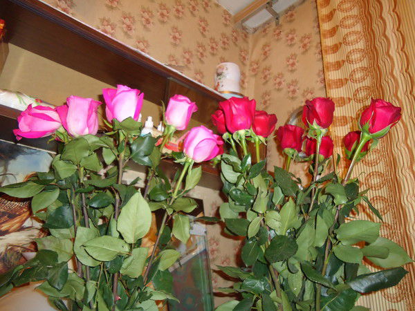 Эдуард Рева